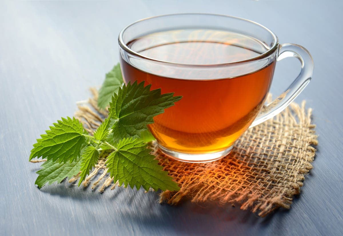 宇治の提携茶園の茶畑